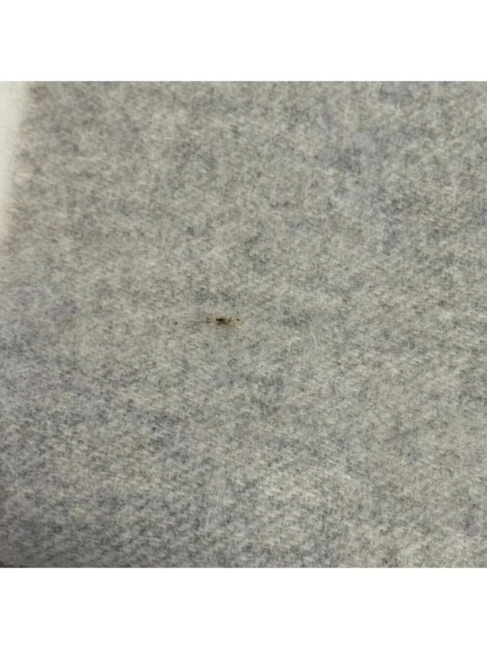 Louis Vuitton Echarpe Reykjavik Cashmere Scarf Gray